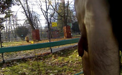 20241125_134707A.mp4_snapshot_00.10.468.jpg
