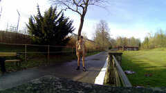 20241125_135055A.mp4_snapshot_00.36.821.jpg