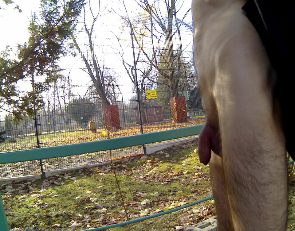 20241125_134707A.mp4_snapshot_00.10.665.jpg - Krzysztof_cfnm