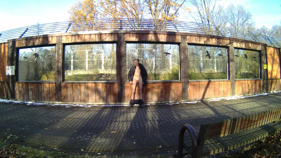 20241125_140042A.mp4_snapshot_01.11.577.jpg - Krzysztof_cfnm
