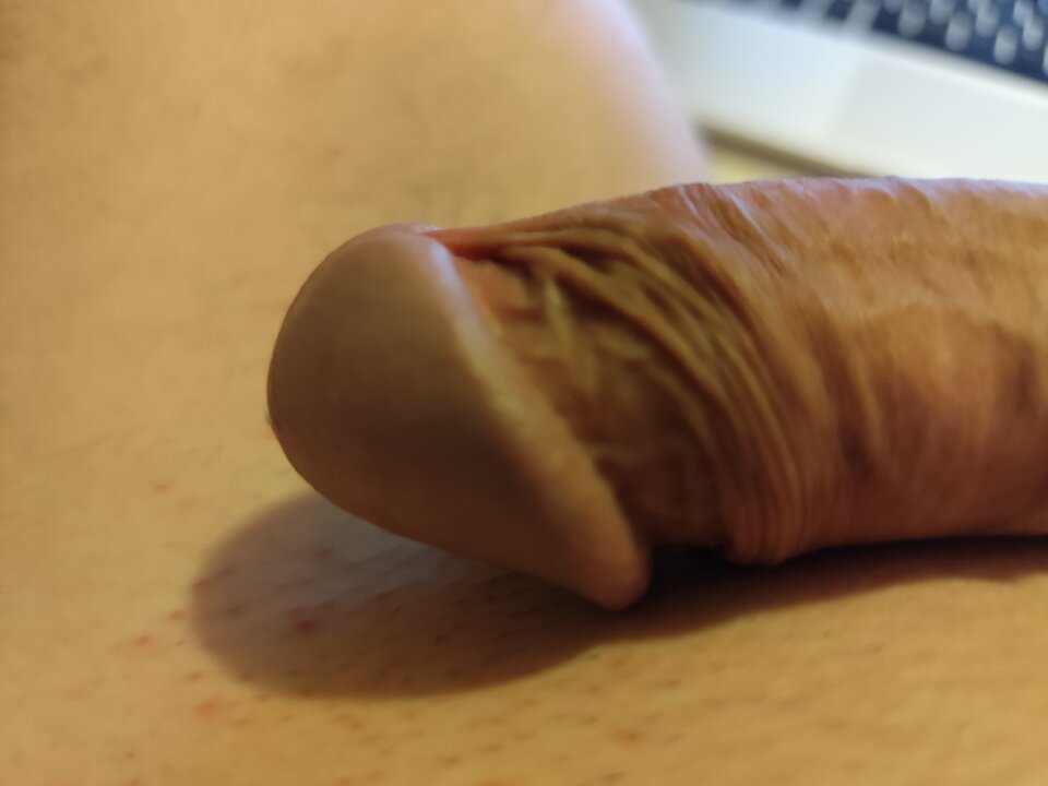 1000002201.jpg - Kier43l