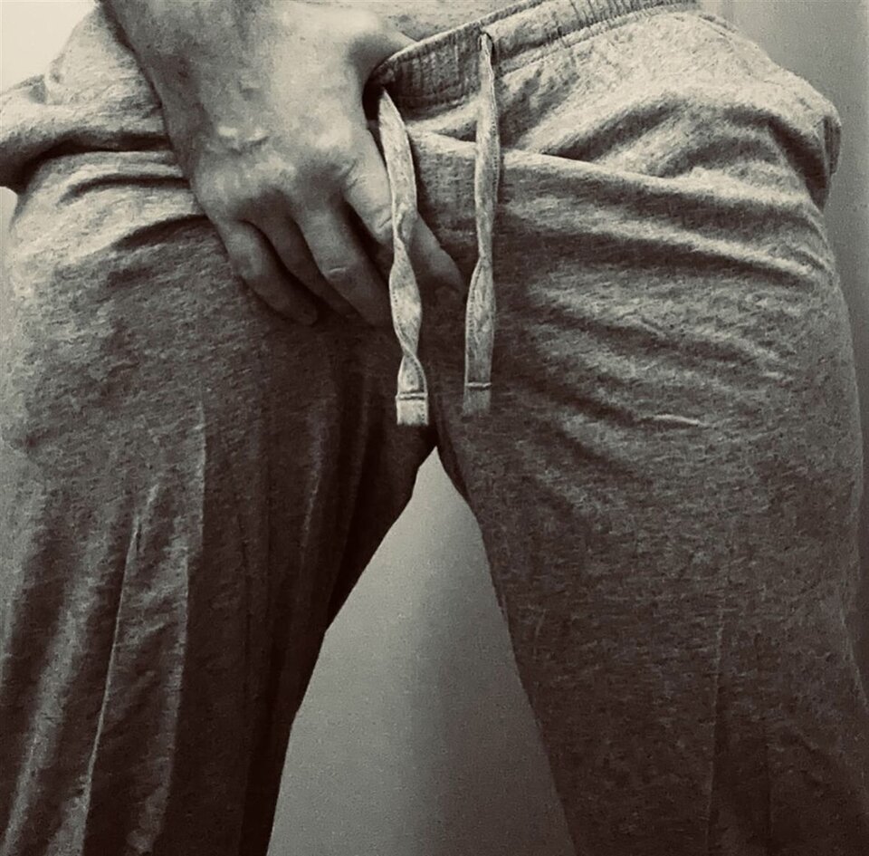 IMG_9064.jpeg - pitbulll