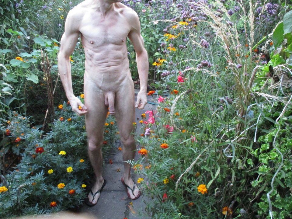 IMG_8596.JPG - gawel35