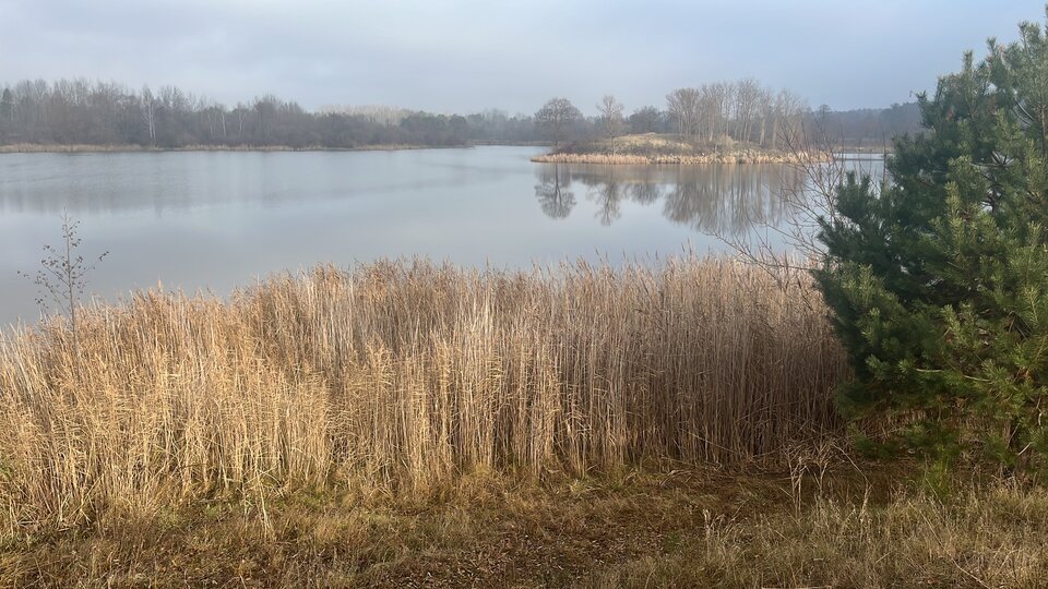 2FE3F1C9-A235-455D-A545-7C2D1E6E2BE1.jpeg - Faninatury