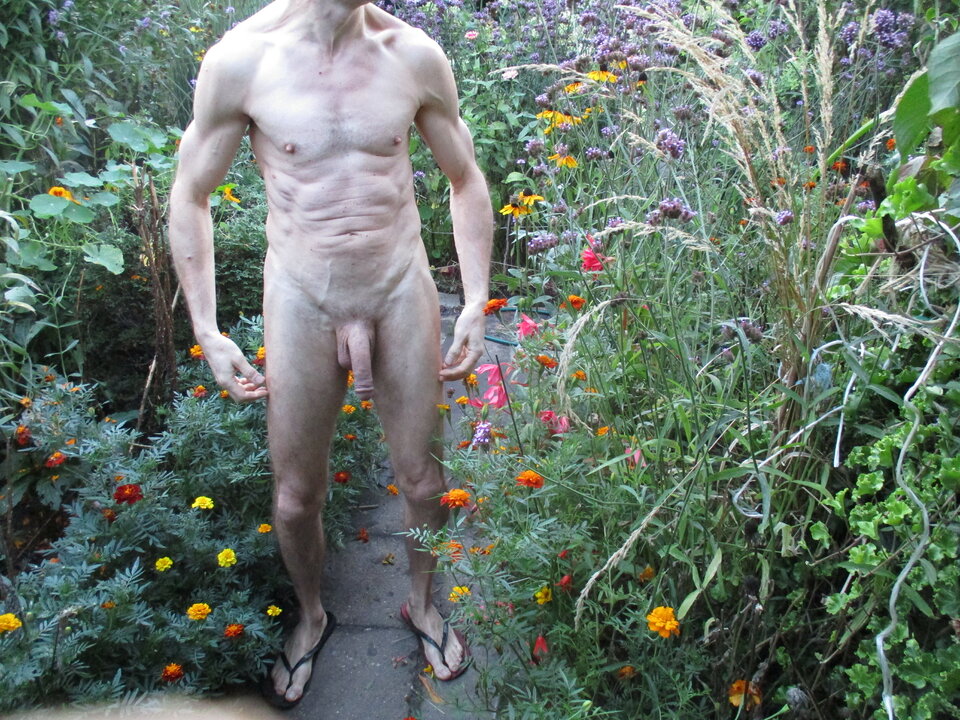 IMG_8599.JPG - gawel35