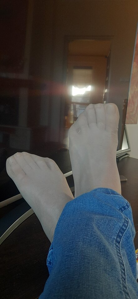 17327095085415933023008935983583.jpg - Palciusia