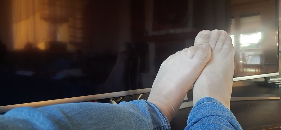 17327095863892736136631306011645.jpg - Palciusia