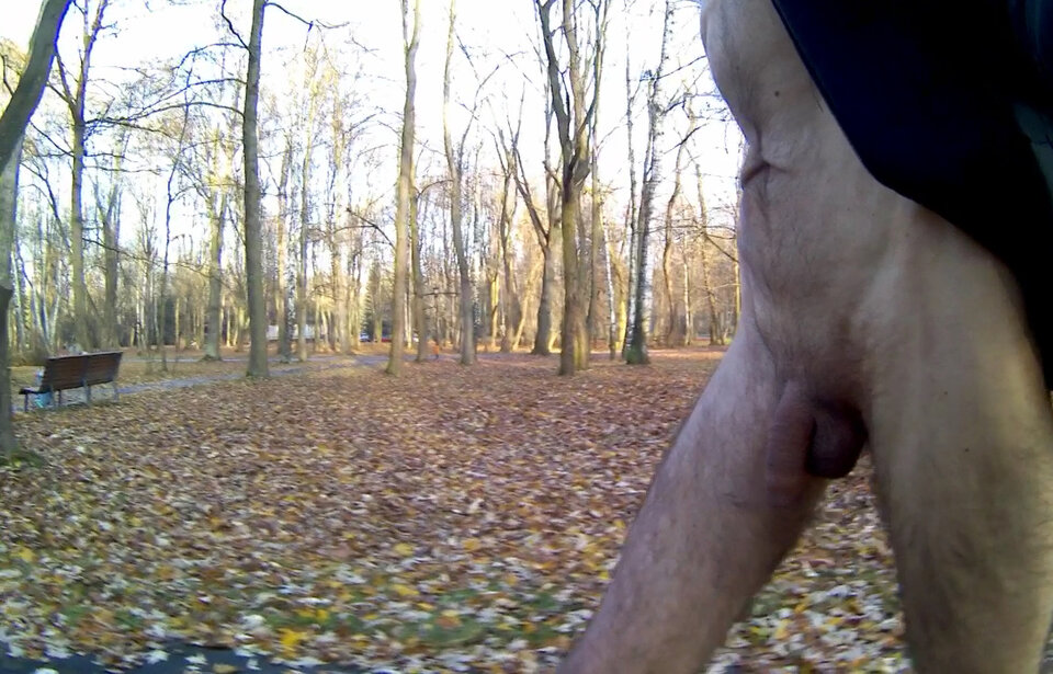 PARK ŚLĄSKI - przy kortach 20241127_1420.mp4_snapshot_00.55.18 - Krzysztof_cfnm
