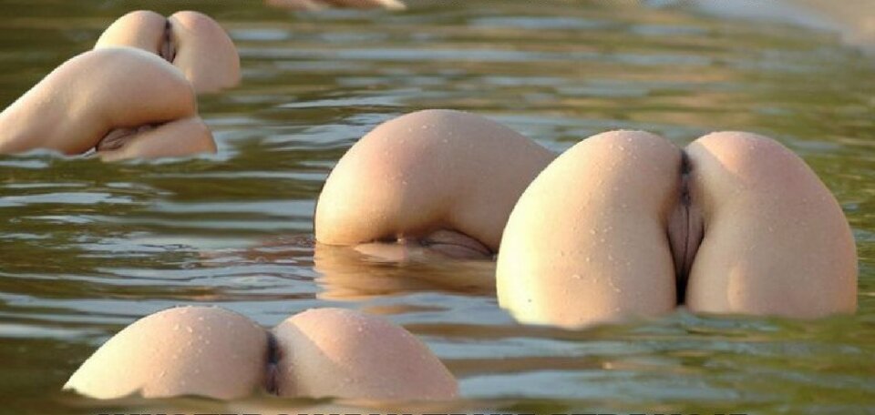 delfiny .jpg - kocurekAndy