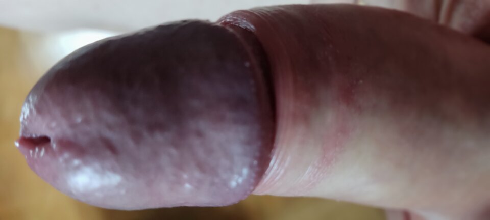 1000043941.jpg - SafeAndSnipped