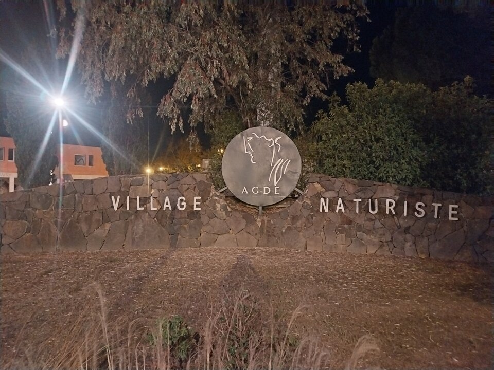 1000010345.jpg - diodak