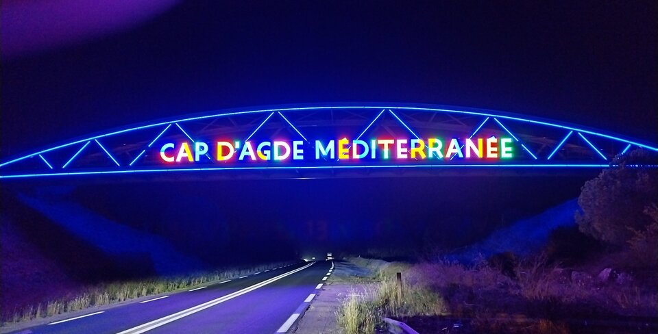 1000008680.jpg - diodak