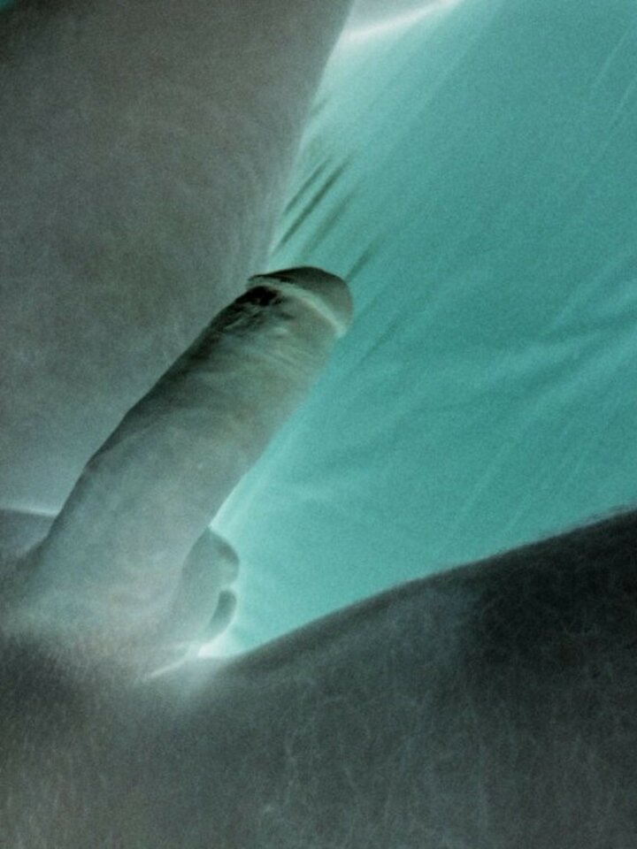 big_742207850004532dae95621222456e4e.jpg - Kowal388