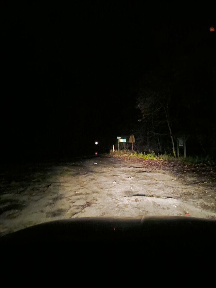 IMG20241129172410.jpg - Tom1745