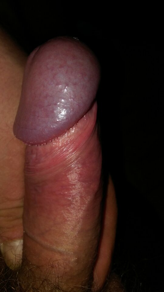 20240928_012647.jpg - pawelik334