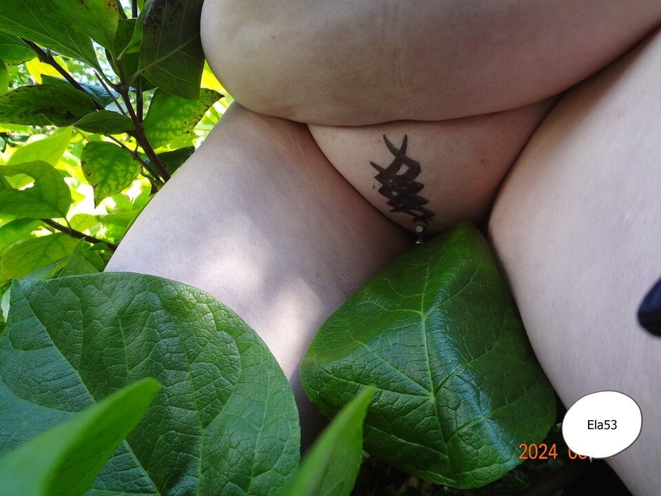 DSC01978.JPG - ela53