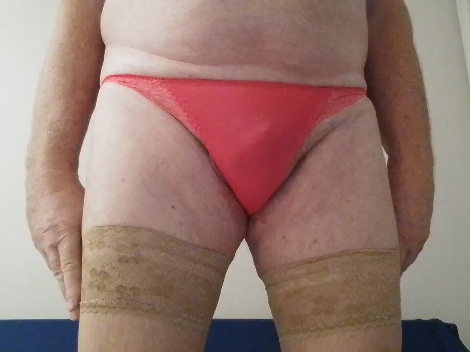 1000002312.jpg - cherubin