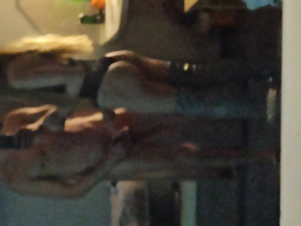 IMG_20241124_043834.jpg - LuffyMan