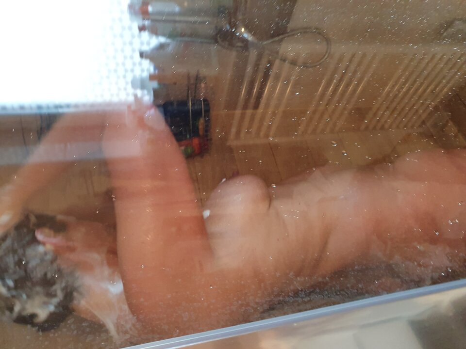 20241201_120643.jpg - Mature44youngbull