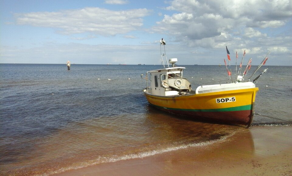 20240810_151245.jpg - OBRZEZANY1