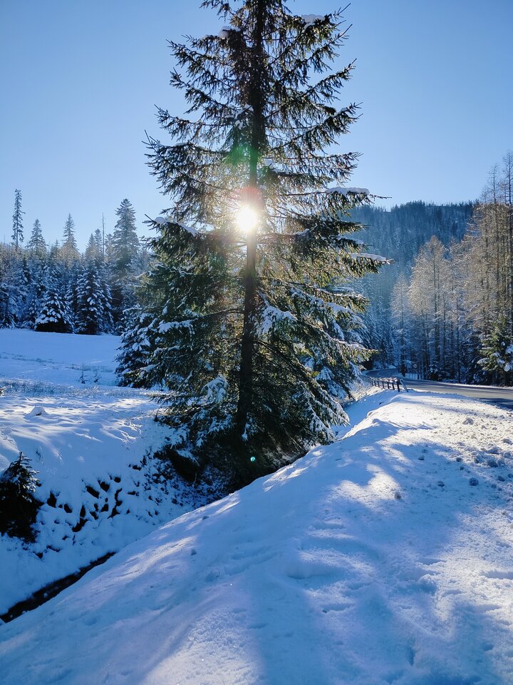 1000009593.jpg - A_tma