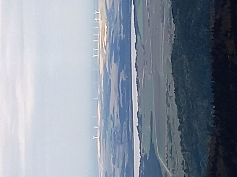 20201018_155501.jpg - Magnetto84