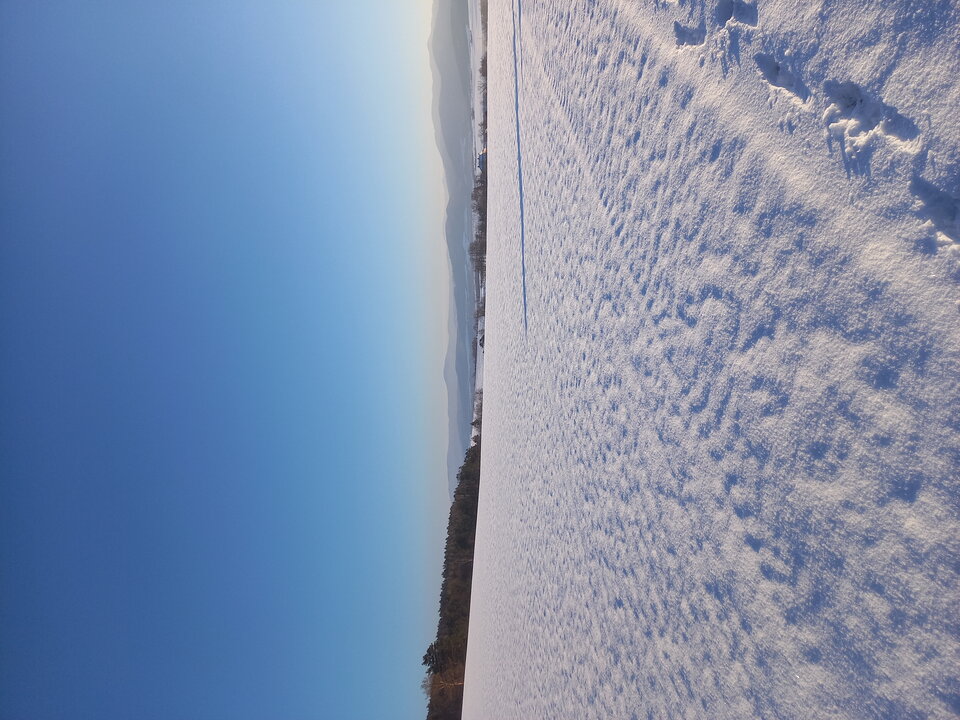 20210131_153926.jpg - Magnetto84