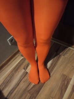 Pani kusi swojego kundelka