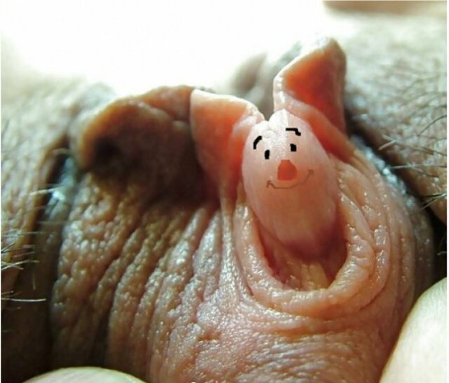 L 1 .jpg - kocurekAndy