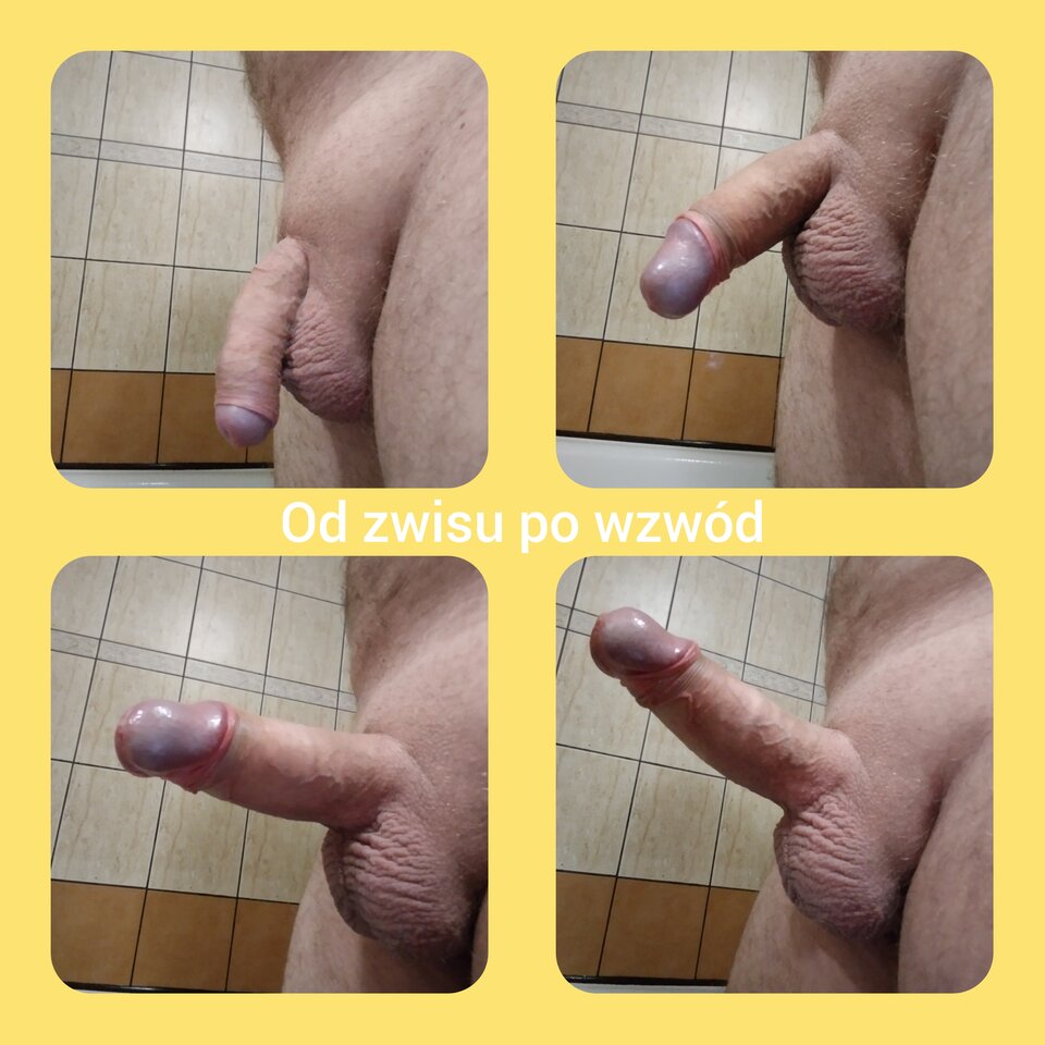 Polish_20241202_192710766.jpg - DajeWam