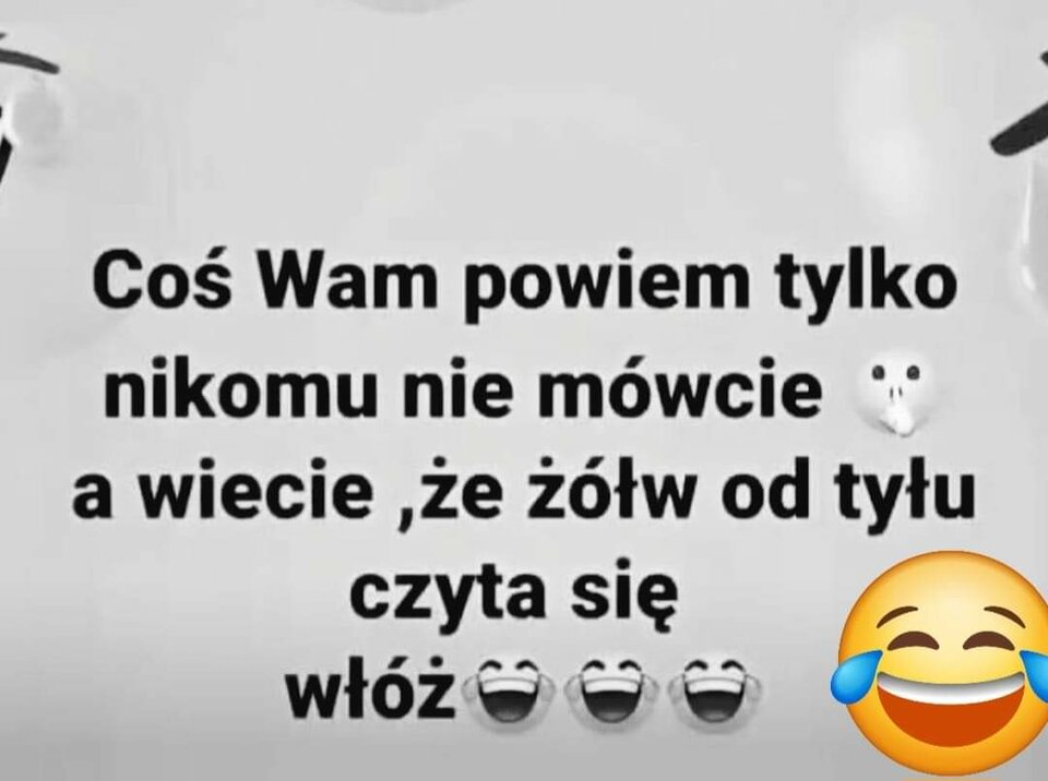 FB_IMG_1733231072575.jpg - pararealna72