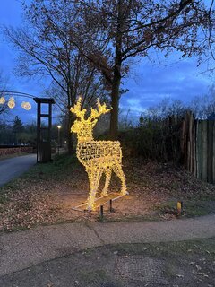 IMG_6242.jpeg