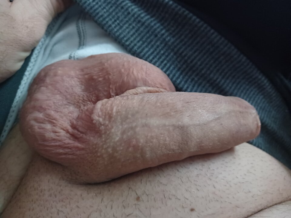 2024-12-0318.44.271317662228772174913.jpg - mar_nn40