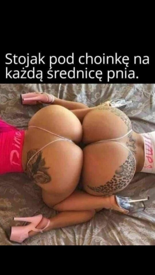 IMG-20241204-WA0003.jpg - crivakris4443