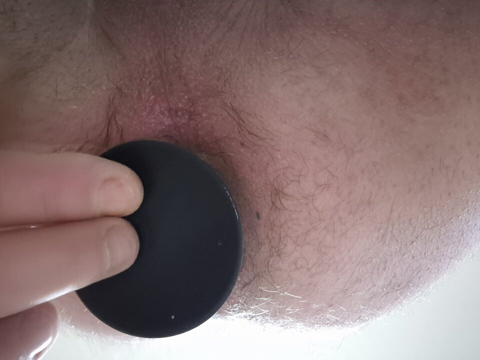 1000016598.jpg - lubitranswaw