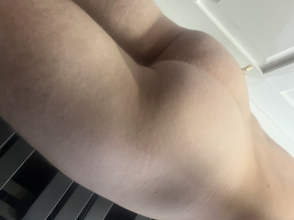 image.jpg - Barracudaa