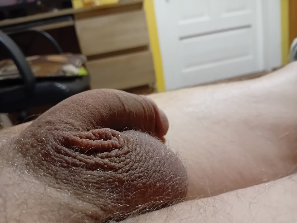 1000005352.jpg - brus13