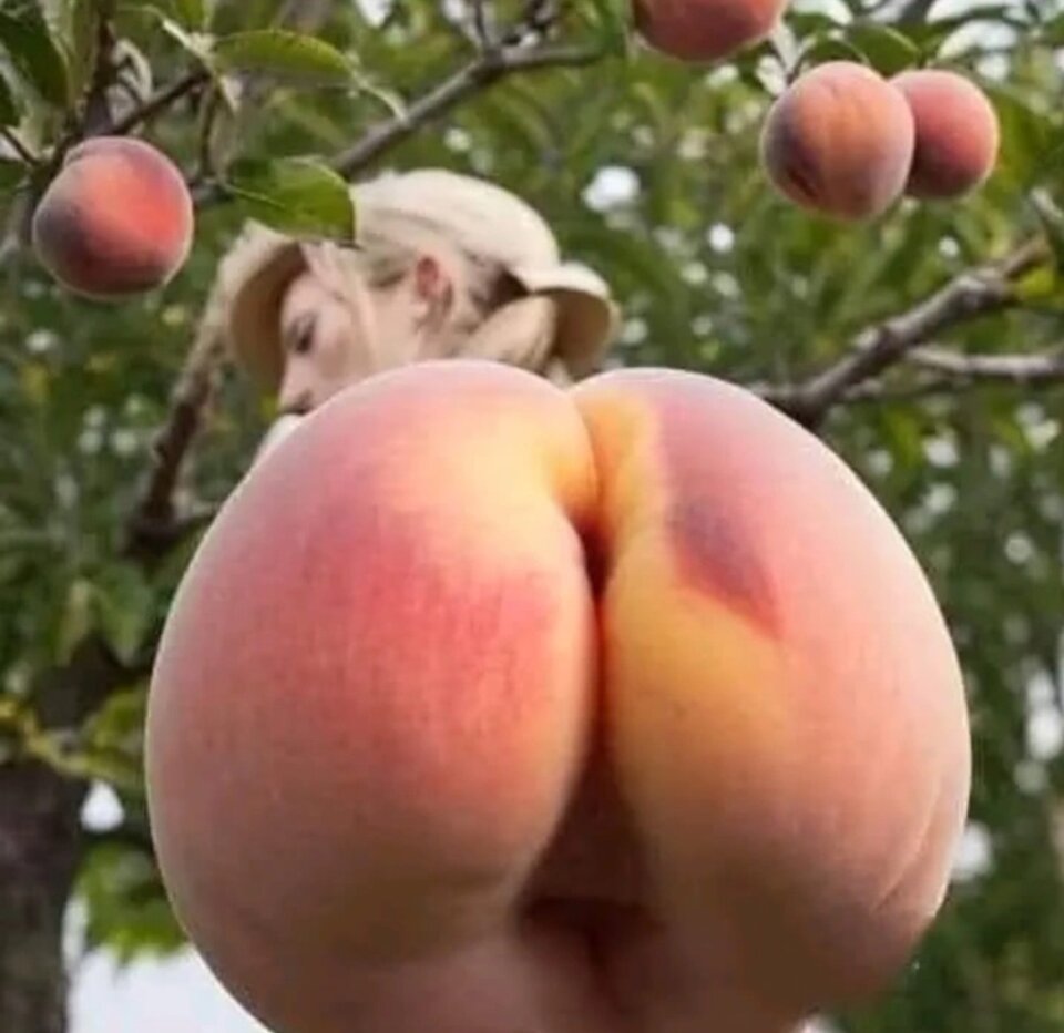 Screenshot_20240918_170912_Facebook.jpg - CUM_ON_ME_PLEASE