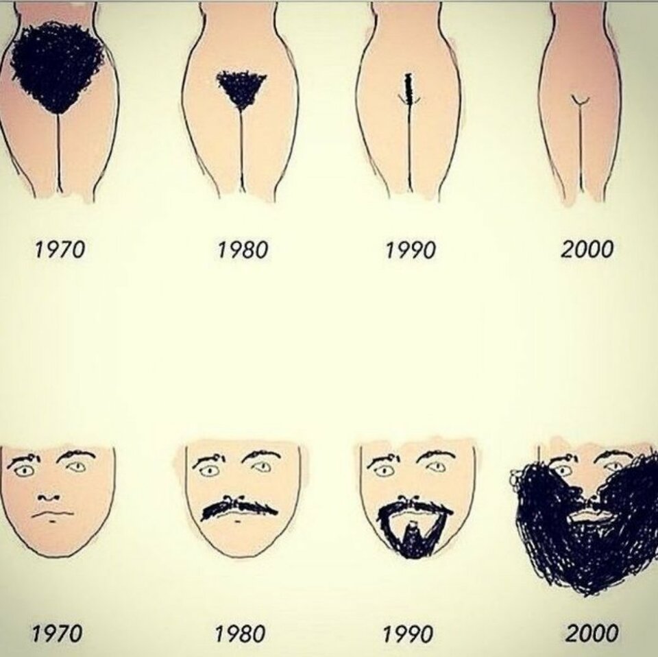 zarost 1.jpg - kocurekAndy