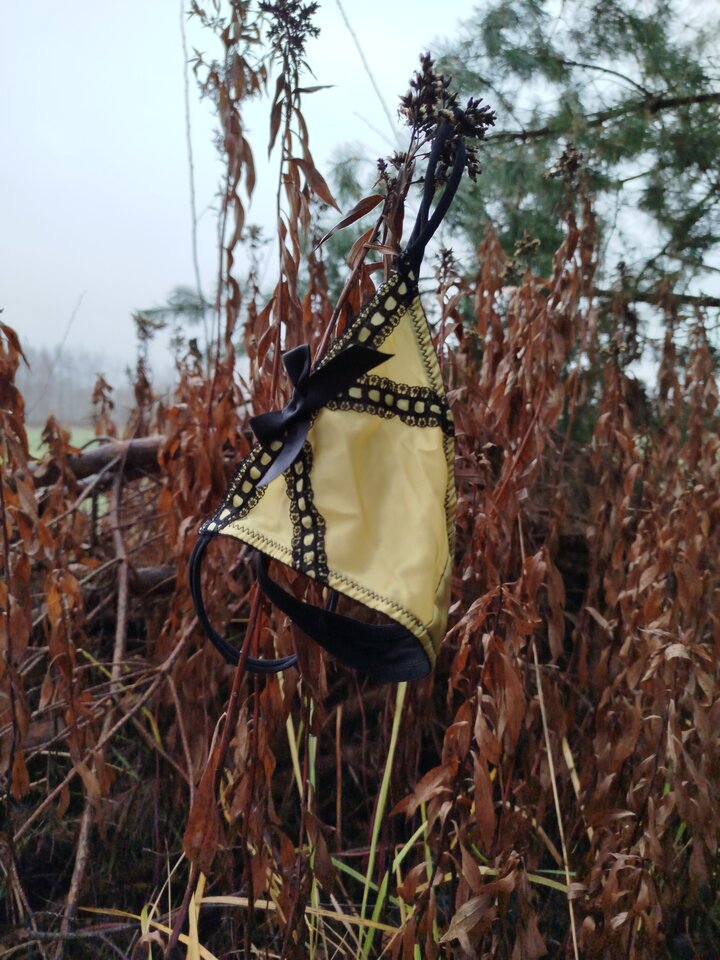 17334017578815100542088468989043.jpg - Cichoszaman