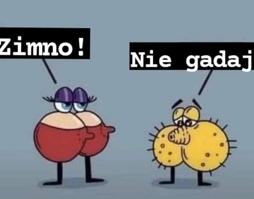 1000021379.jpg - Olgaiolek