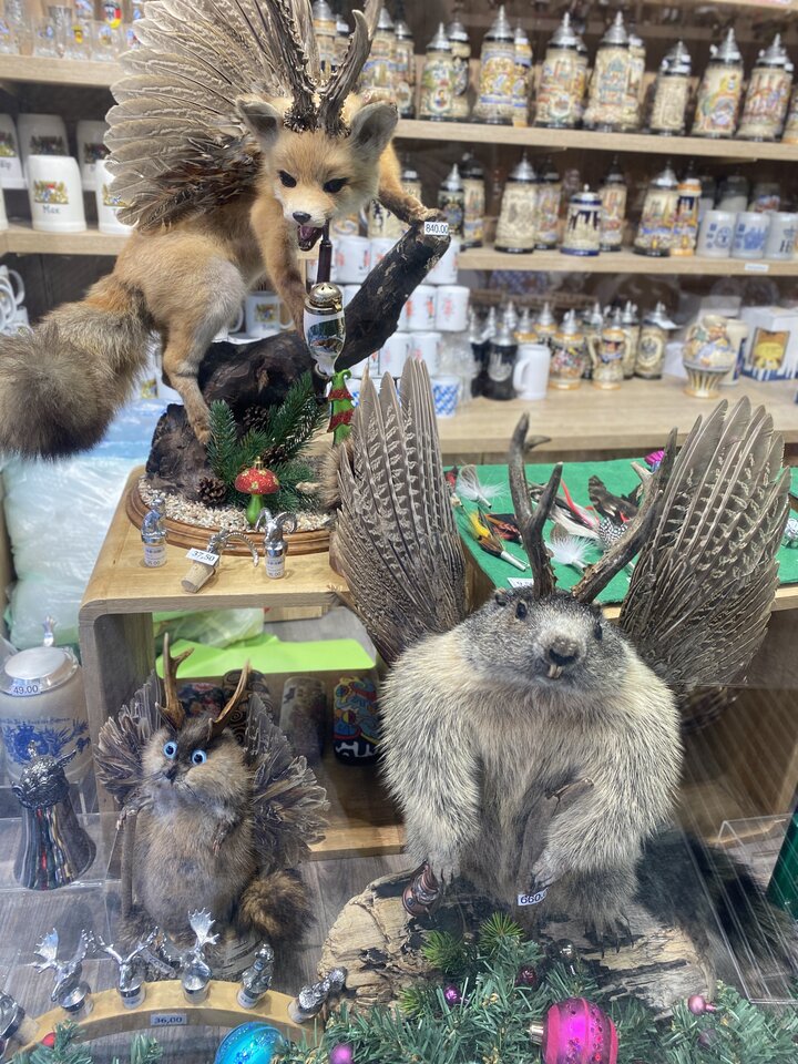 IMG_9729.jpeg - May_Day