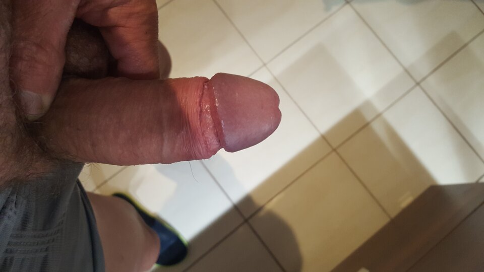 20241112_180219.jpg - Cipolizwzy