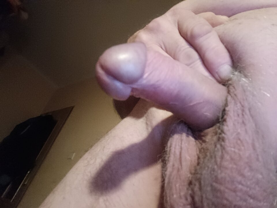 17334366327972516190783473494818.jpg - ardas1