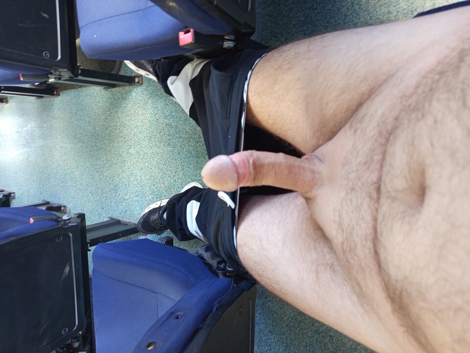 1000004096.jpg - Ceremon830101