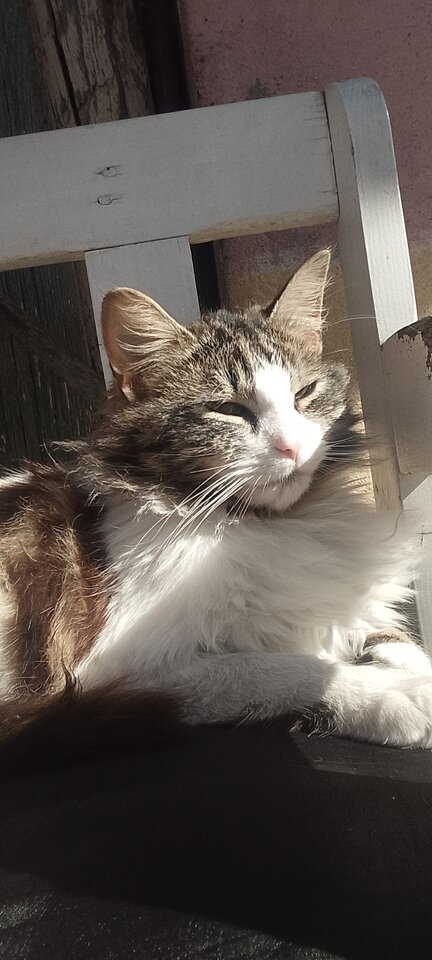 1000006328.jpg - Slonykarmel26