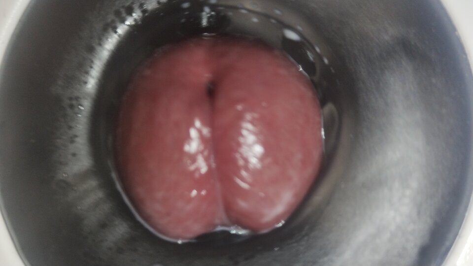 1000739100.jpg - Maxi1001