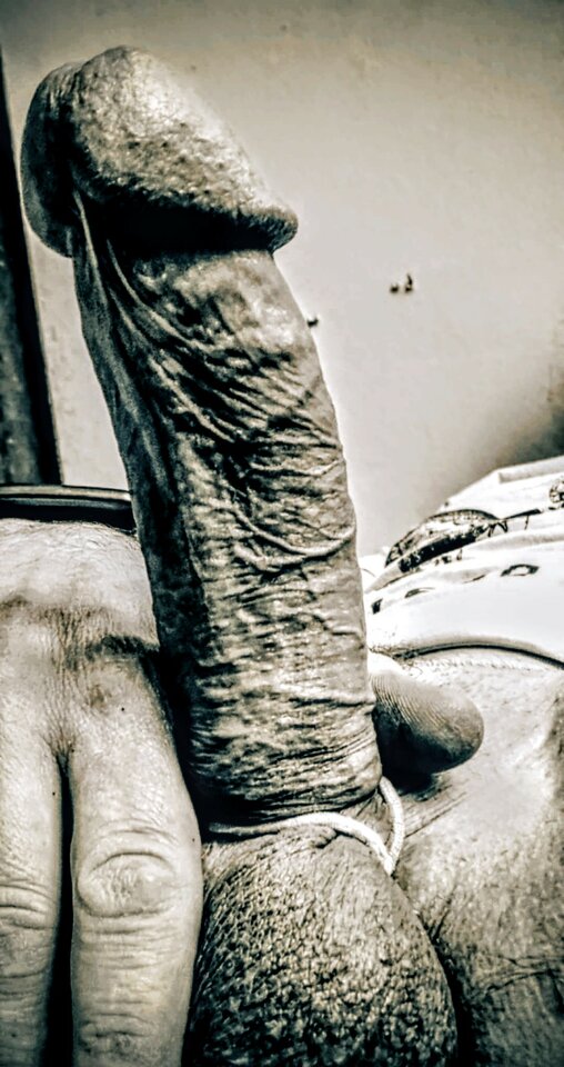 IMG_20260416_005215~2.jpg - LIBIEeksperymentyORAL