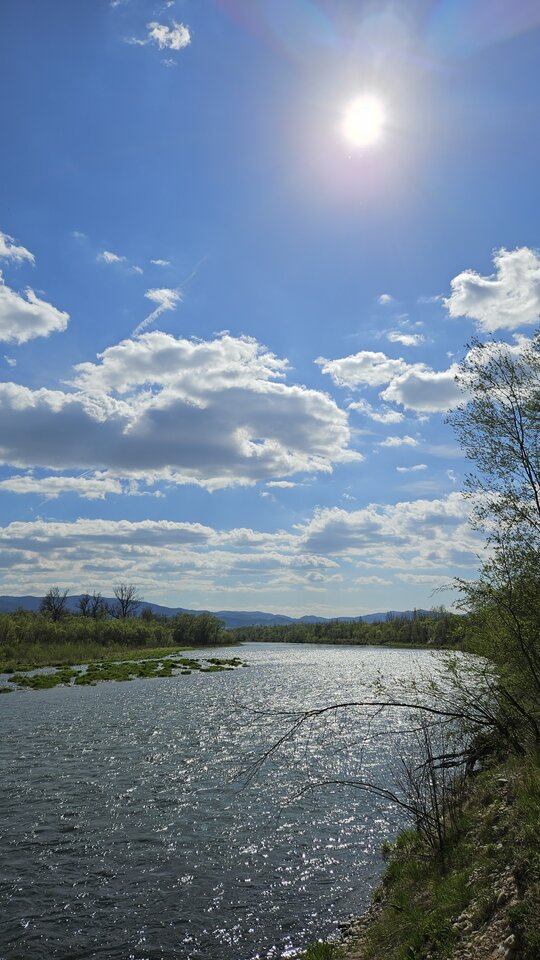 1000054812.jpg - nowytomas