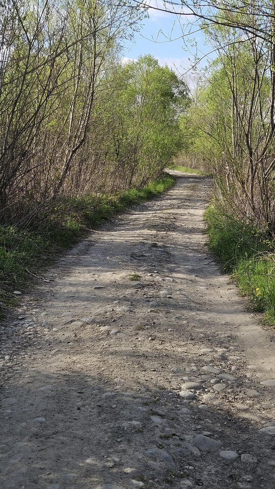 1000054909.jpg - nowytomas